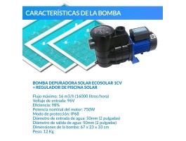 Bomba depuradora solar Ecosolar PS750 V2 (1CV) + regulador | Damia Solar
