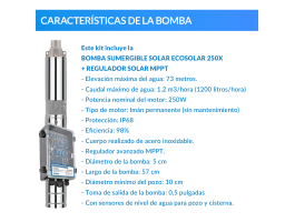 Bomba de agua solar Ecosolar sumergible ESP-250X + regulador | Damia Solar