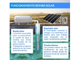 Bomba de agua solar Ecosolar sumergible ESP-250X + regulador | Damia Solar