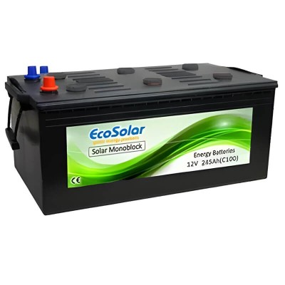 Batería monoblock de ciclo profundo Ecosolar 245Ah