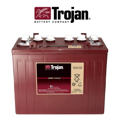 Comprar Bateria Trojan solar monoblock 166Ah C100