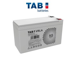Batería AGM TAB 125Ah C100 12V (100Ah C10)