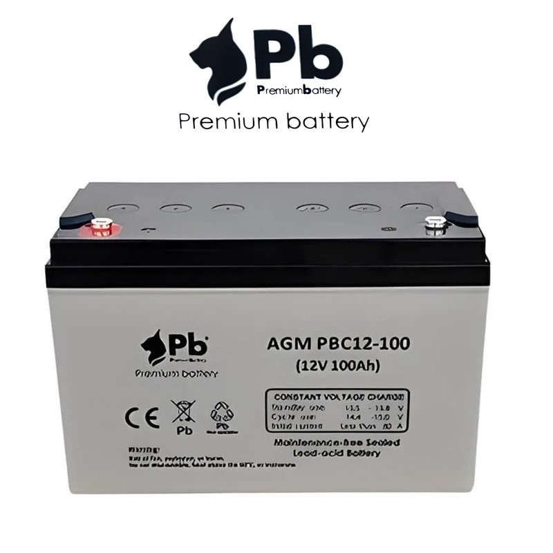 Batería solar Premium Battery AGM 100Ah C10 125Ah C100