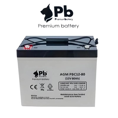 Bateria solar Premium Battery AGM 80Ah C10 100Ah C100